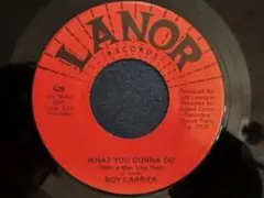 ROY CARRIER What You Gonna Do サディコ