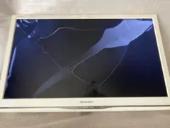 Item thumbnail for item f6b06e09-92bb-48bd-8967-232a6ad4d369