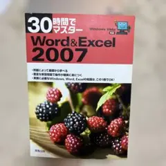 30時間でマスターWord & Excel 2007 : Windows Vi…