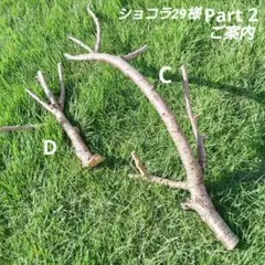 Item thumbnail for item 2bf0ac0c-9091-43ae-9dc4-c34187df96dd