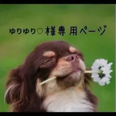 ハートの小皿 No.2102 固まるハーバリウム
