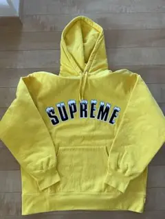 超人気!SUPREME アイスアークロゴ フーディ プルオーバー クール FW20 Supreme Icy Arc Hooded Sweatshirt シュプリーム パーカー