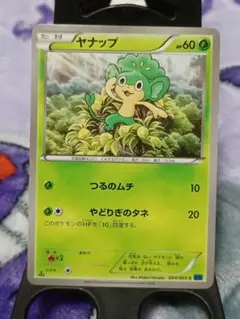 ポケモンカード　ヤナップ XY1