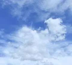 ２点の品