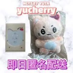 NCT 127 ユウタ ぬいぐるみ yucherry m63874605257_1.jpg?1716214328