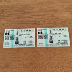 中京競馬　外れ馬券　メイショウソウセキ　サトノスピカ