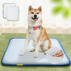Item thumbnail for item 13f79e90-1d14-4839-83ba-c8aed0c6903d