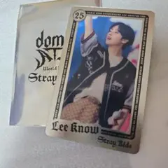 straykids ランダムライブフォトカード リノ