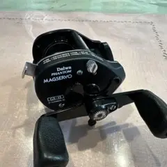 ミ*チ様 DAIWA PHANTOM MAGSERVO GS-15リール 両軸リ 2025年最新】GS-15 ダイワの人気アイテム - メルカリ