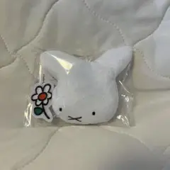 studio clip×Dick Bruna * ナインチェ　フェイスメジャー