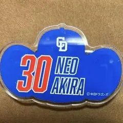 Item thumbnail for item 4614c3d5-0cd8-4fdb-8a49-90c41c8dde0e