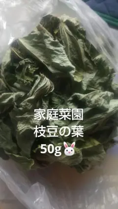 Item thumbnail for item b8012bb1-2f4a-4dfb-af34-2884ea7943c8