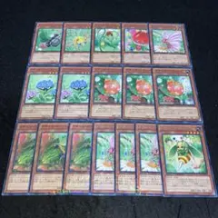 遊戯王 No.4197 DTCのみ ナチュルホーストニードル バタフライ