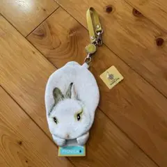 フェリシモ　パスケース　うさぎ