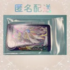ポケモンフレンダ　ベストタッグ　スーパートレジャー　ソルガレオ＊おまけつき