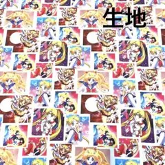 【レア】生地 セーラームーン