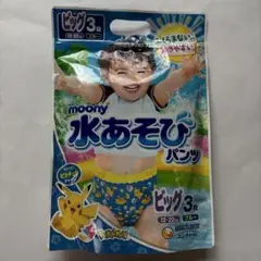 水遊びパンツ　ビッグサイズ2枚