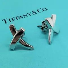 【箱付き】TIFFANY u0026 Co. ピアス パロマピカソ Xモチーフ シルバー