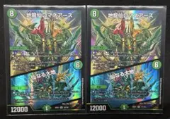 【24時間以内発送】地龍仙ロマネアース　2枚セット