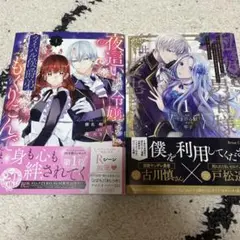 漫画　2冊