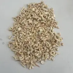 珊瑚　切屑