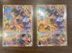 サボ　シークレット　2枚セット
