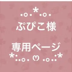 ぷぴこ様　専用ページです★