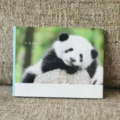 休息びより　動物　写真集　アニマル　癒し