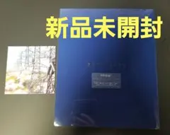 魔法使いの夜 初回限定版 設定資料集+リーフレット Switch版
