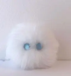 けさぱさふれんず