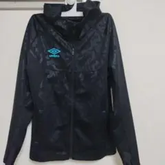 Item thumbnail for item 04efa9da-35f1-4058-9da0-9962953d2e29