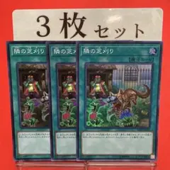 遊戯王　隣の芝刈り スーパーレア 3枚セット
