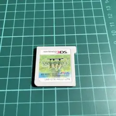 世界樹の迷宮Ⅳ 3DS