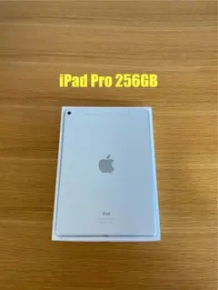 iPad Pro 256GB シルバー 本体