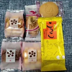 【静岡銘菓】こっこ&春華堂詰め合わせ