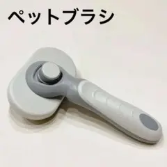 Item thumbnail for item 01d32d29-1662-476e-89cf-4697f0f286da