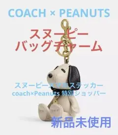 COACH スヌーピー チャーリーブラウンチャーム 公式】コーチアウトレット | 【COACH X PEANUTS】チャーリー