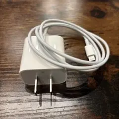 Apple純正20W 電源アダプタケーブル　新品