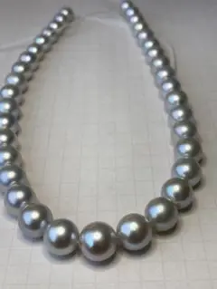 アコヤ7−8.5㎜　27cm