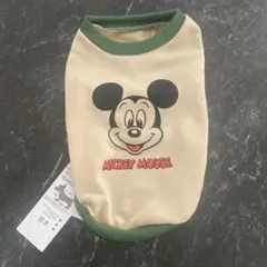 Item thumbnail for item 2c6ef355-bd97-488b-a087-02a14c9e5053