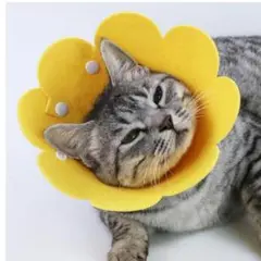 Item thumbnail for item e58ba322-9843-4ec9-8925-8618751c7153