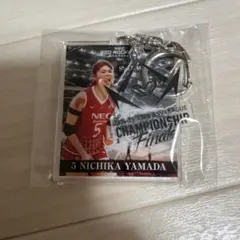 2025年最新】necレッドロケッツ 山田二千華の人気アイテム