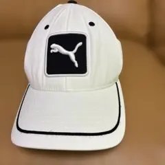 Item thumbnail for item 79ae952b-ec84-4ab6-99c0-ef98245b4f1a