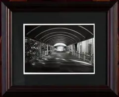 Item thumbnail for item 46dcc189-7e57-4103-81d1-8cbea513cfa2