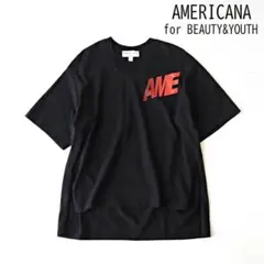 Americana アメリカーナ ビューティ＆ユース別注 Vネック Tシャツ 黒