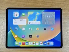 iPad Pro 11インチ 第1世代 Wi-Fi+Cellular 256GB