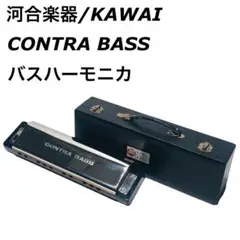 河合楽器 KAWAI コントラバス バスハーモニカ ハードケース付き 2025年最新】コントラバス ハードケースの人気アイテム - メルカリ