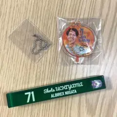 アルビレックス　新潟　71 内山翔太　キーホルダー