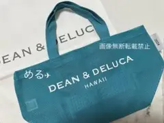 【★未使用★】DEAN & DELUCA HAWAII メッシュバッグ 　ハワイ