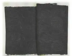 Item thumbnail for item a4f8a856-df9a-4325-aa95-4d36aae8ddd1